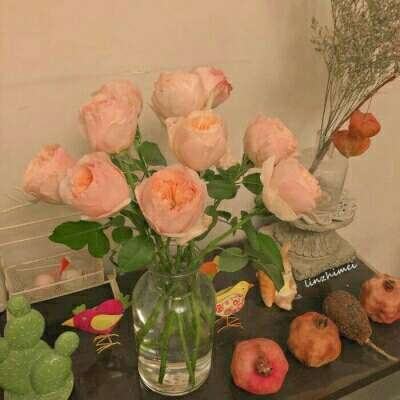 大发彩票app下载手机版