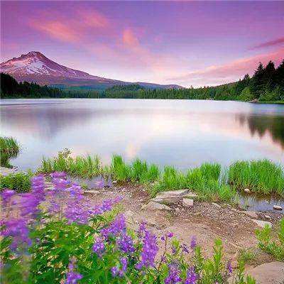 爱游戏app手机app下载