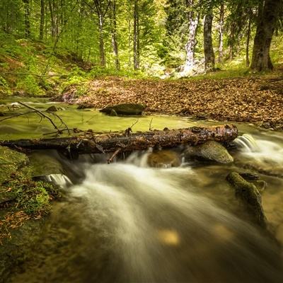 B体育手机版在线下载手机版