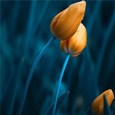 kdpay钱包下载安卓版