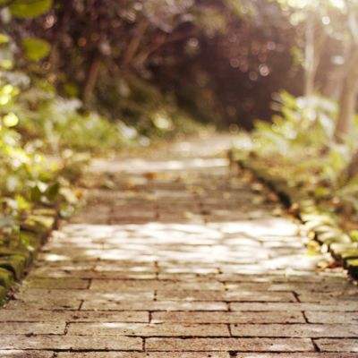 大发彩票app下载手机版